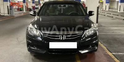 carsDetail