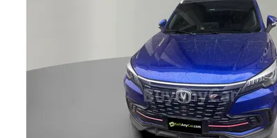 carsDetail