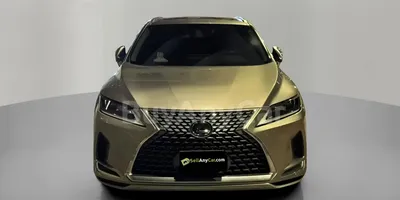 carsDetail