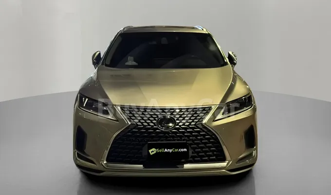 carsDetail