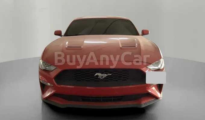 carsDetail