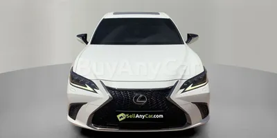 carsDetail