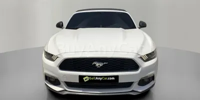carsDetail
