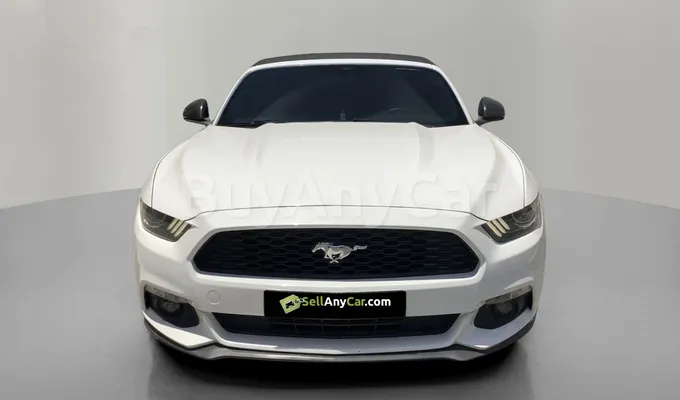 carsDetail