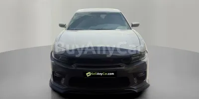 carsDetail