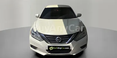 carsDetail