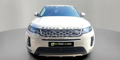 carsDetail