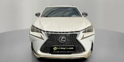 carsDetail