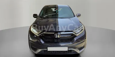 carsDetail