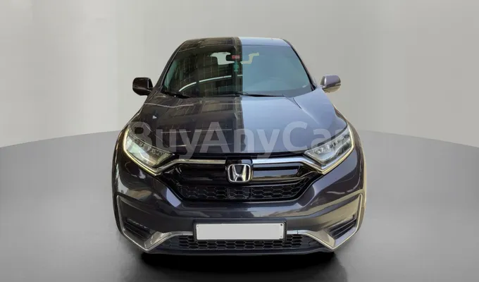 carsDetail
