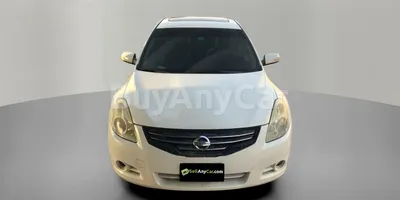 carsDetail