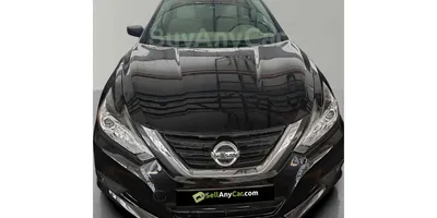 carsDetail