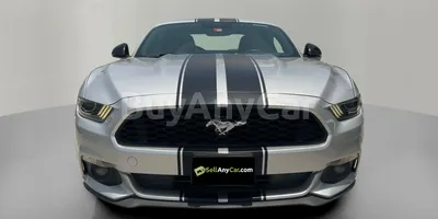 carsDetail
