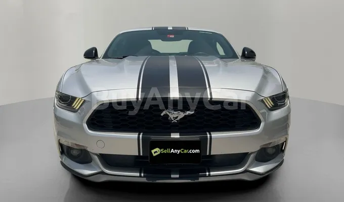 carsDetail