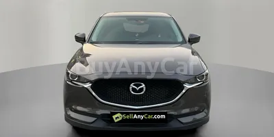 carsDetail