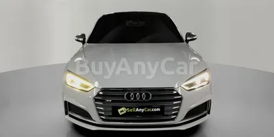 carsDetail
