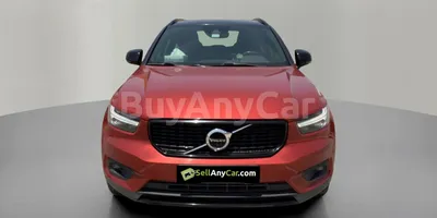 carsDetail