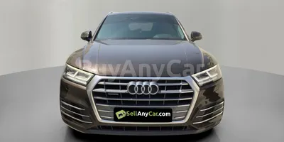 carsDetail