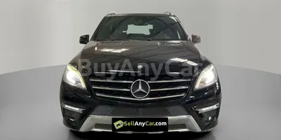 carsDetail