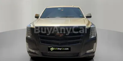 carsDetail