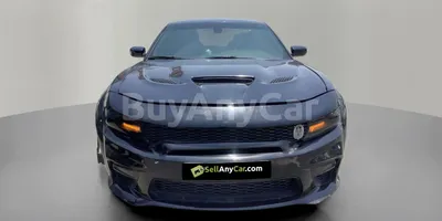 carsDetail