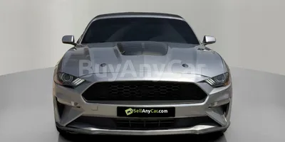 carsDetail