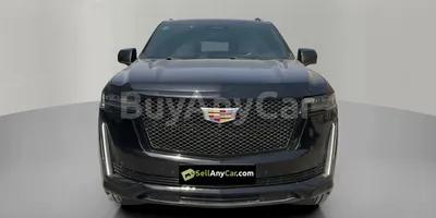 carsDetail