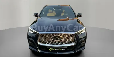 carsDetail