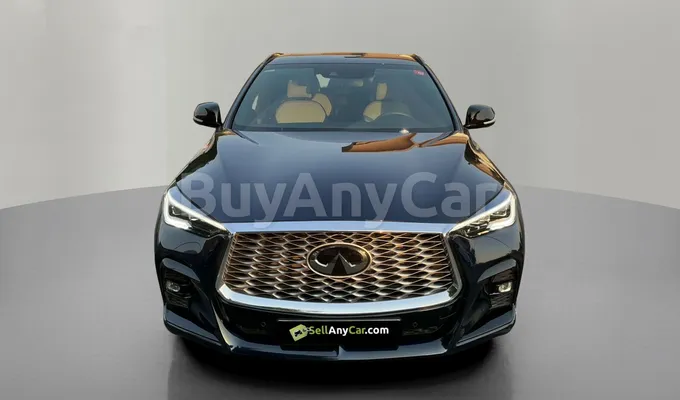 carsDetail