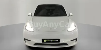 carsDetail