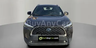 carsDetail
