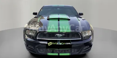 carsDetail