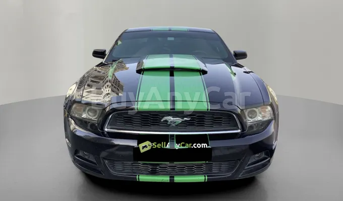carsDetail