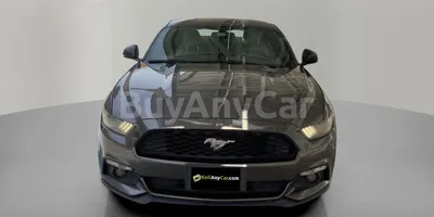 carsDetail