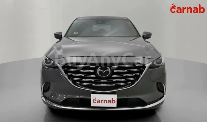 carsDetail