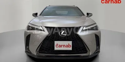 carsDetail