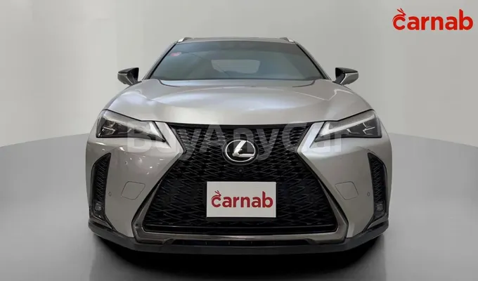 carsDetail