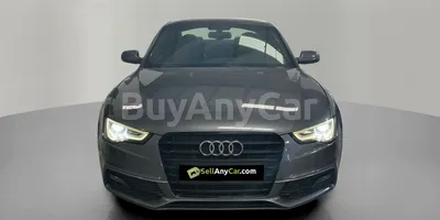 carsDetail