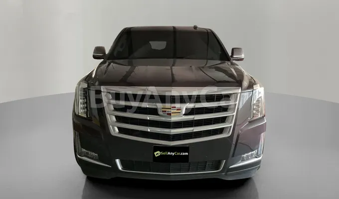 carsDetail