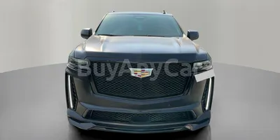 carsDetail