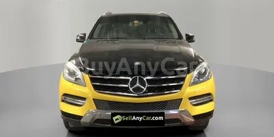 carsDetail