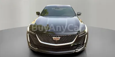 carsDetail