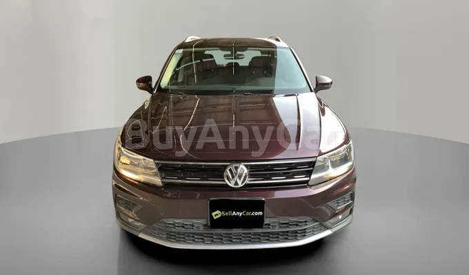 carsDetail