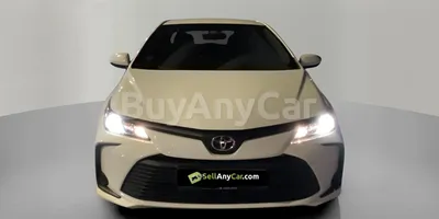 carsDetail