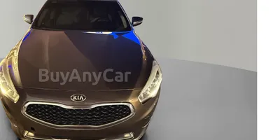 carsDetail