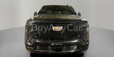 carsDetail