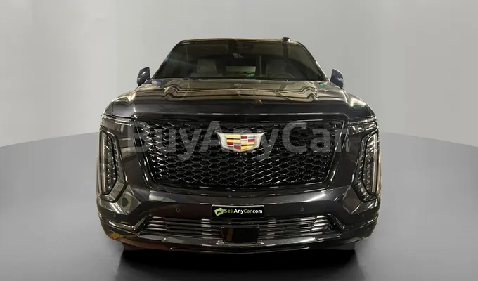 carsDetail
