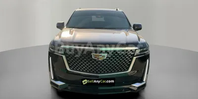 carsDetail