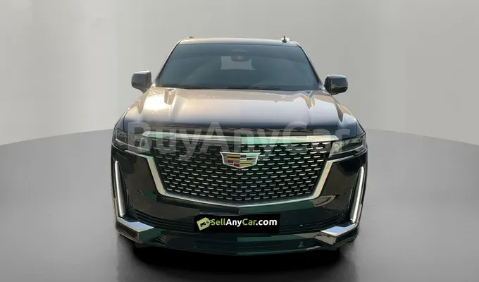carsDetail