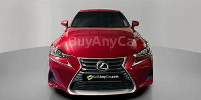 carsDetail